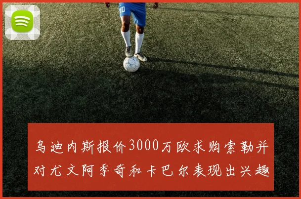乌迪内斯报价3000万欧求购索勒并对尤文阿季奇和卡巴尔表现出兴趣
