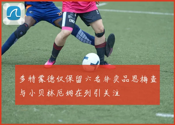 多特蒙德仅保留六名非卖品恩梅查与小贝林厄姆在列引关注